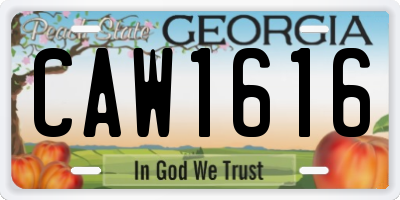 GA license plate CAW1616