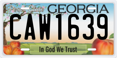GA license plate CAW1639