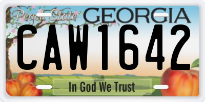 GA license plate CAW1642