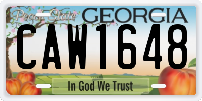 GA license plate CAW1648