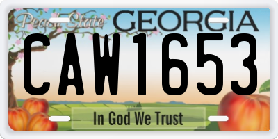 GA license plate CAW1653