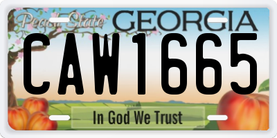 GA license plate CAW1665