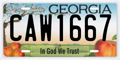 GA license plate CAW1667