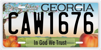 GA license plate CAW1676
