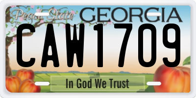 GA license plate CAW1709