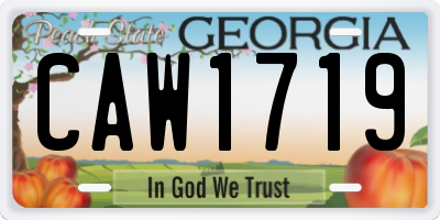 GA license plate CAW1719