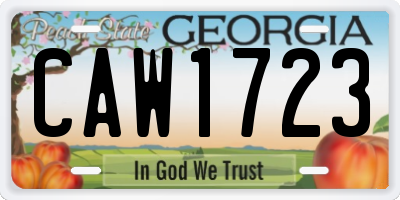 GA license plate CAW1723