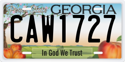 GA license plate CAW1727