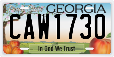 GA license plate CAW1730