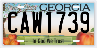 GA license plate CAW1739