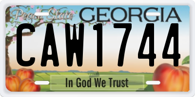 GA license plate CAW1744