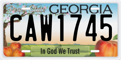 GA license plate CAW1745