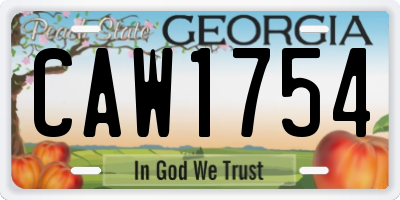 GA license plate CAW1754
