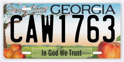 GA license plate CAW1763