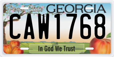 GA license plate CAW1768