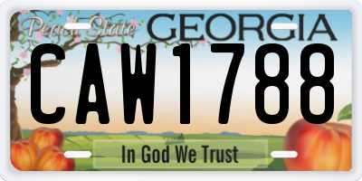 GA license plate CAW1788