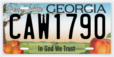 GA license plate CAW1790