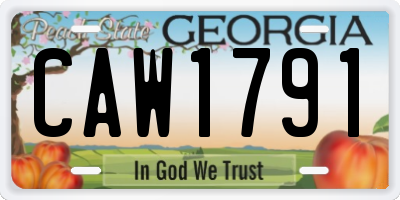 GA license plate CAW1791