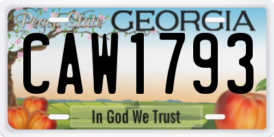 GA license plate CAW1793