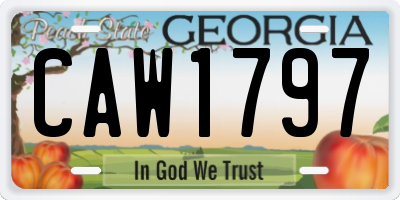 GA license plate CAW1797