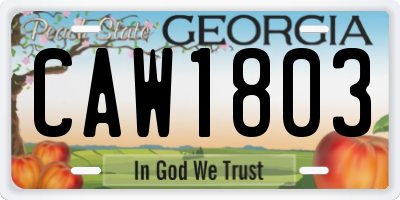 GA license plate CAW1803