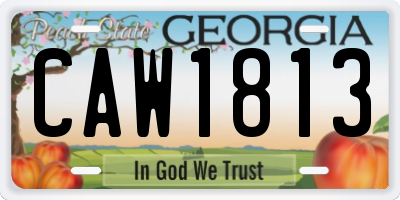 GA license plate CAW1813