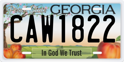 GA license plate CAW1822