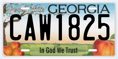 GA license plate CAW1825