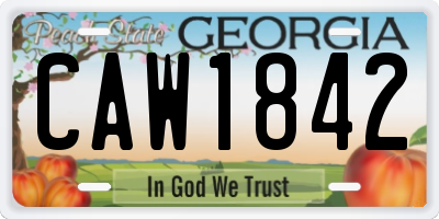 GA license plate CAW1842