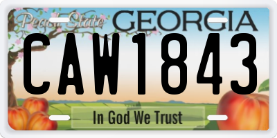 GA license plate CAW1843