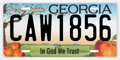 GA license plate CAW1856
