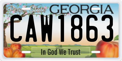 GA license plate CAW1863