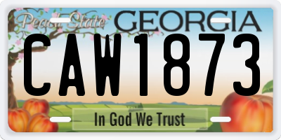GA license plate CAW1873