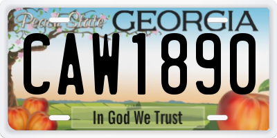GA license plate CAW1890