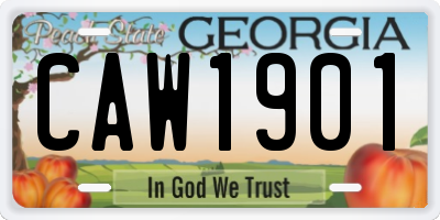 GA license plate CAW1901