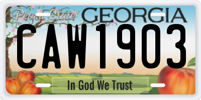 GA license plate CAW1903