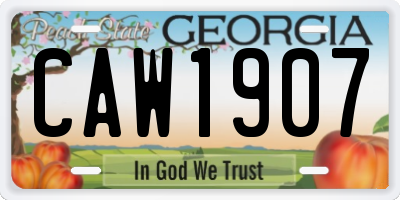 GA license plate CAW1907