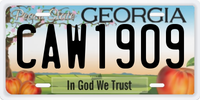 GA license plate CAW1909