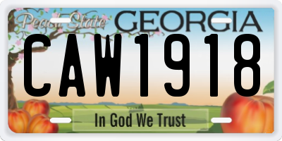 GA license plate CAW1918