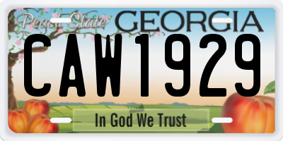 GA license plate CAW1929