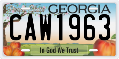 GA license plate CAW1963