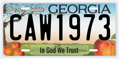 GA license plate CAW1973