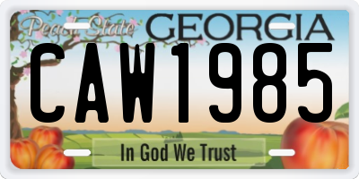 GA license plate CAW1985