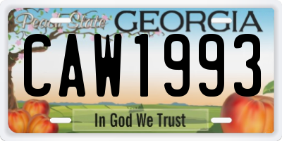 GA license plate CAW1993
