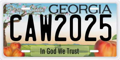 GA license plate CAW2025