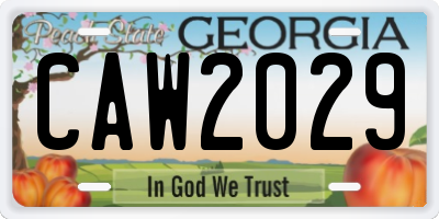 GA license plate CAW2029