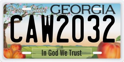 GA license plate CAW2032