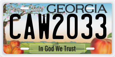 GA license plate CAW2033