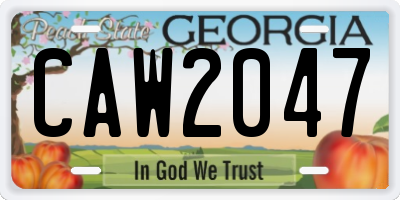 GA license plate CAW2047