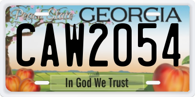 GA license plate CAW2054